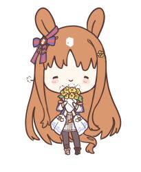  1girl animal_ears armband asymmetrical_footwear black_pantyhose blue_jacket blush bouquet bow brown_hair chibi closed_eyes closed_mouth dandelion dress ear_bow ear_ribbon flower grass_wonder_(stone-piercing_blue)_(umamusume) grass_wonder_(umamusume) hair_flower hair_ornament holding holding_bouquet horse_ears horse_girl horse_tail jacket long_hair long_sleeves mismatched_footwear multicolored_hair pantyhose red_armband simple_background smile solo tail ukichan22905846 umamusume white_background white_dress white_hair 