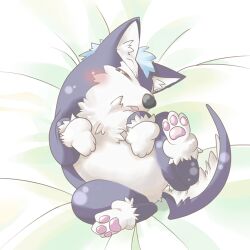  baby_animal blue_hair blush closed_eyes commentary_request dog lowres maruru_(marimo811) open_mouth pawpads puppy purple_fur repede_(tales) sleeping tales_of_(series) tales_of_vesperia 