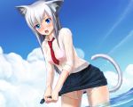  animal_ears blue_eyes blush cat_ears cat_tail lingerie open_mouth original panties see-through shirakawa_mayo short_hair silver_hair skirt sleeves_rolled_up solo tail underwear water wet wet_clothes wringing_clothes 