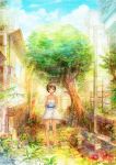  ahoge barefoot bloom bottle brown_eyes brown_hair building carrying colorful drainpipe dress flower leaf neyagi original plant plate pot potted_plant short_dress solo standing sunbeam sunlight tofu tree white_dress 