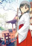  1girl absurdres blurry broom copyright_request depth_of_field highres japanese_clothes mibu_natsuki miko temple tree 