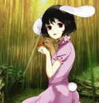  animal_ears bad_id bamboo benetto_(benet) black_hair bunny_ears bunny_tail carrot inaba_tewi jewelry necklace paw_pose rabbit_ears red_eyes short_hair solo tail touhou 