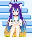  acchi_kocchi ahoge animal_ears blue_hair box cat_ears for_adoption hinaganon long_hair mikan_box miniwa_tsumiki nude open_mouth paws purple_eyes solo translated translation_request violet_eyes 