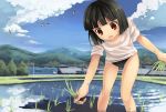  :d bird black_hair black_panties blue_sky blush brown_eyes buruma cloud clouds fukube_tamaki kouno_hikaru mountain open_mouth original panties rice_planting see-through shirt short_hair sky smile solo town underwear 