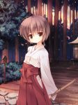  amatsume_akira broom brown_eyes brown_hair forest hakama japanese_clothes miko nature scenery solo sunset tree yosuga_no_sora yuku_(kiollion) 