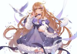  1girl :d animal backlighting bare_shoulders bird black_bow black_choker bow bow_choker breasts brown_hair center_frills choker collarbone commentary commission cowboy_shot cowlick double-parted_bangs dove dress dress_bow earrings english_commentary flower frilled_dress frills grey_thighhighs grin hair_between_eyes hair_flower hair_ornament halterneck hand_up highres holding holding_animal holding_rabbit jewelry juliet_sleeves lace-trimmed_sleeves lace_trim lips long_hair long_sidelocks long_sleeves looking_at_viewer medium_breasts nail_polish off-shoulder_dress off_shoulder original petticoat pom_pom_(clothes) pom_pom_earrings puffy_sleeves purple_bow purple_dress purple_flower purple_nails purple_thighhighs rabbit rabbit_hair_ornament sasu_(sasucchi95) short_dress sidelocks simple_background sleeve_bow smile solo standing striped_clothes striped_thighhighs tareme thigh-highs ultracat very_long_hair white_background white_bird white_rabbit_(animal) wide_sleeves yellow_eyes zettai_ryouiki 