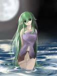  alric copyright_request elf full_moon green_eyes green_hair long_hair looking_at_viewer moon pointy_ears solo very_long_hair wading 