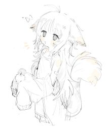  1girl :o animal_ears antenna_hair apple bandaid bandaid_on_arm blush dress flat_chest food fruit grey_eyes holding holding_food holding_fruit imo._(1mop1cs) jacket long_sleeves off_shoulder open_clothes open_jacket original simple_background skirt sleeves_past_fingers sleeves_past_wrists solo sweat tail white_background 