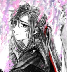  1boy ahoge black_hair black_hanfu cherry_blossoms chinese_clothes closed_mouth flower hair_between_eyes hair_ribbon half_updo hanfu highres long_hair looking_at_viewer looking_back male_focus melmerry modao_zushi monochrome multiple_boys official_alternate_hairstyle out_of_frame petals ponytail red_ribbon ribbon robe sidelocks smile solo_focus spot_color traditional_media upper_body wei_wuxian wei_wuxian_(yiling_laozu) wisteria 