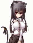  animal_ears animated animated_gif bell black_hair blush cat_ears cat_tail hat jingle_bell long_hair mia_(syroh) mia_flatpaddy original red_eyes ribbon solo syroh tail tail_bell tail_ribbon 