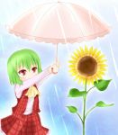  arms_up ascot blue_background blush_stickers chibi covering dress_shirt flower green_hair kazami_yuuka leaf long_sleeves looking_away outstretched_arms parasol plaid plaid_skirt plaid_vest rain red_eyes shirt short_hair simple_background skirt solo standing sunflower touhou umbrella umi_suzume youkai 