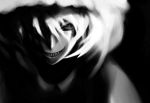  dark kitsune_tsuki monochrome stare touhou yakumo_ran 