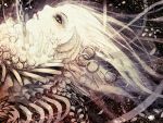  bone brown_eyes funakura original ribs scales white_hair 