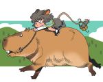  animal_ears basket buck_teeth capybara grey_hair mouse mouse_ears mouse_tail nazrin onikobe_rin reins riding saddle solo tail touhou 
