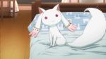  animated animated_gif bed bedroom kyubey mahou_shoujo_madoka_magica no_humans red_eyes screencap sitting solo tail tail_wagging 