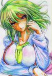  ascot breasts bust colored_pencil_(medium) green_hair highres kazami_yuuka kitazinger red_eyes short_hair solo touhou traditional_media vest youkai 