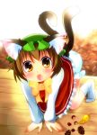  animal_ears brown_hair cat_ears cat_tail chen chestnut earrings hat jewelry leaf multiple_tails short_hair tail takamoto_akisa touhou 