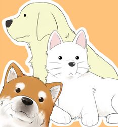  azumanga_daioh cherry_(dog) cherry_(lucky_star) crossover dog ichigo_mashimaro lucky_star no_humans satake_(2f) satake_(ichigo_mashimaro) simple_background tadakichi-san 