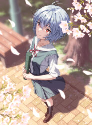  1girl ayanami_rei bench black_socks blue_hair blue_skirt breasts brown_shoes closed_mouth commentary_request diploma_tube falling_petals from_above full_body hair_between_eyes highres holding loafers looking_up medium_breasts neck_ribbon neon_genesis_evangelion outdoors park_bench petals red_eyes red_ribbon ribbon school_uniform shirt shoes short_hair short_sleeves skirt smile socks solo standing suspender_skirt suspenders tokyo-3_middle_school_uniform tree white_shirt yahha 