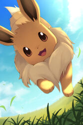  :d brown_eyes brown_fur clouds commentary day eevee falling_leaves grass happy highres leaf looking_at_viewer neck_fur no_humans open_mouth outdoors pokemon pokemon_(creature) pokemon_focus rumine_(yoshi1234567) sky smile solo 