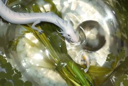  animal_focus commentary dragon eastern_dragon english_commentary fish food food_focus highres no_humans original photo_background sonzennart soup soup_ladle water 