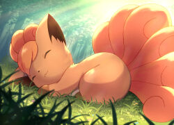  animal_focus brown_fur closed_eyes closed_mouth fox grass multiple_tails no_humans outdoors pokemon pokemon_(creature) pokemon_focus red_fur rumine_(yoshi1234567) sunlight tail vulpix 