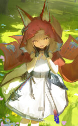  1girl absurdres animal_ear_fluff animal_ear_hood animal_ears arknights arknights:_endfield black_gloves brown_hair cape chinese_commentary ciexbiet commentary_request dress feet_out_of_frame fingerless_gloves gloves hands_on_own_face highres hood hooded_cape looking_at_viewer open_mouth outdoors red_cape rossi_(arknights) solo sparkling_eyes white_dress wolf_ears yellow_eyes 