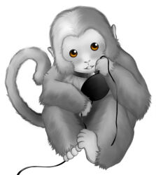  1boy body_fur collar commentary_request eyepatch gintama greyscale holding hongmei jugem_(gintama) looking_at_viewer monkey monkey_tail monochrome orange_eyes partial_commentary simple_background smile solo spot_color tail unworn_eyepatch white_background 