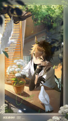  1boy ahoge arm_rest bird black_hair blurry blurry_foreground border branch changyu:_qilin_(ginkgo_ridge)_(pgr) changyu_(pgr) character_name chinese_commentary chinese_knot closed_mouth commentary_request copyright_name falling_leaves flower flower_pot green_eyes hair_between_eyes hair_ornament hand_on_own_face hand_up head_rest head_tilt highres horns indoors leaf long_hair looking_ahead male_focus mechanical_arms official_art ornate_border pillow punishing:_gray_raven shirt short_sleeves single_horn sitting smile solo white_flower white_shirt windowsill 