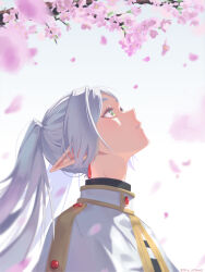  1girl absurdres capelet cherry_blossoms closed_mouth earrings elf floating_earrings frieren green_eyes high_collar highres jacket jewelry long_hair long_sleeves looking_up parted_bangs pixiv_username pointy_ears shirt simple_background solo sousou_no_frieren spring_(season) sugarism twintails twitter_username white_background white_capelet white_hair white_jacket white_shirt 
