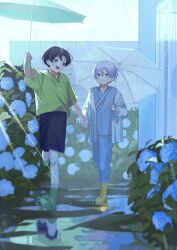  18trip 22kolink 2boys aged_down arm_up black_hair black_shorts boots cardigan closed_mouth commentary flower full_body green_boots green_shirt green_umbrella hamasaki_kaede highres holding holding_hands holding_umbrella hydrangea long_sleeves looking_at_another male_focus multiple_boys oguro_kafka open_mouth outdoors puddle purple_hair rain shirt short_hair short_sleeves shorts smile standing standing_on_one_leg transparent transparent_umbrella umbrella white_cardigan yellow_boots yellow_eyes 