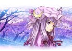  cherry_blossoms crescent hair_ribbon hat highres long_hair patchouli_knowledge petals portrait purple_eyes purple_hair ribbon solo touhou tree violet_eyes yubikiri_(1132505404) 