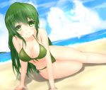  bad_id beach bikini breasts cheeuyu chiiutsu_(cheewts) cleavage dutch_angle female green_eyes green_hair long_hair original solo swimsuit 