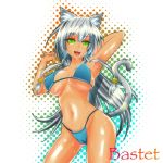  bastet bikini cat_ears green_eyes long_hair original silver_hair slit_pupils swimsuit tail tokei_(aomr-hrsk) 