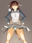  animal_ears apron brown_eyes brown_hair dog_ears dog_tail gertrud_barkhorn hands_on_hips highres military military_uniform panties sangekimaru short_twintails solo strike_witches tail twintails underwear uniform white_panties 