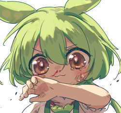  1girl ayakashi_(monkeypanch) blood closed_mouth commentary green_hair hand_up looking_at_viewer nosebleed solo tears voiceroid voicevox zundamon 