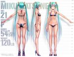  1girl bra character_name from_behind green_hair hatsune_miku height_chart high_heels long_hair panties profile shoes solo twintails underwear very_long_hair vocaloid wokada 