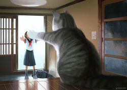  1girl animal artist_name bag blue_bag blue_sailor_collar cat commentary_request grey_cat indoors monokubo original outstretched_arms oversized_animal pleated_skirt sailor_collar school_uniform serafuku shirt shoes shouji skirt sliding_doors socks whiskers white_shirt white_shoes 