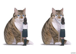 1girl animal artist_name black_hair black_shoes black_socks blue_eyes blue_sailor_collar cat collared_shirt commentary_request long_hair monokubo multiple_views original oversized_animal pleated_skirt sailor_collar school_uniform serafuku shirt shoes simple_background skirt socks whiskers white_background white_shirt 
