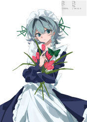  1girl absurdres apron blue_dress blue_eyes blue_hair bouquet bow braid chinese_commentary chunye_xiuluo commentary_request dress flower frilled_hairband frills green_bow grey_hair hair_bow hairband highres holding holding_bouquet izayoi_sakuya long_hair looking_at_viewer maid maid_apron maid_headdress red_flower simple_background single_braided_sidelock solo touhou tulip white_apron white_background white_hairband 