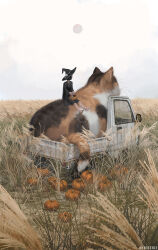  1girl animal artist_name barefoot black_hair black_robe calico_(pattern) calico_cat cat clouds cloudy_sky commentary_request field halloween halloween_bucket hat monokubo motor_vehicle original oversized_animal pickup_truck planet pumpkin robe scenery sitting sky trick_or_treat truck witch_hat 