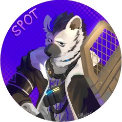  1boy arknights artist_name ballistic_shield black_hair black_jacket character_name ear_piercing english_commentary eyebrow_piercing face_piercing furry furry_male grey_fur grey_shirt highres hmatthewchew hood hood_down hooded_jacket hyena_boy hyena_ears infection_monitor_(arknights) jacket looking_at_viewer male_focus multicolored_hair piercing shield shirt spot_(arknights) streaked_hair 