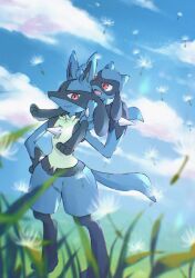  black_fur blue_fur blue_sky clouds commentary_request dandelion_seed day evolutionary_line grass hakata_no_kuma highres lucario multicolored_fur open_mouth outdoors pokemon pokemon_(creature) red_eyes riolu sky spikes yellow_fur 