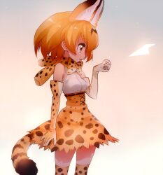  1girl animal_ear_fluff animal_ears cat_ears cat_girl cat_tail commentary_request cowboy_shot dress elbow_gloves extra_ears gloves kemono_friends orange_hair print_dress print_gloves print_thighhighs serval_(kemono_friends) short_hair simple_background sleeveless solo tail thigh-highs white_background yukiumisaka 