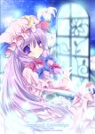  artist_name character_name crescent dated hat long_hair patchouli_knowledge purple_eyes purple_hair ryuuga_shou solo title_drop touhou violet_eyes window 