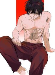  1boy absurdres avatar:_the_last_airbender avatar_legends black_hair burn_scar c4rmydumps commentary_request highres male_focus scar scar_on_face sketch solo toned toned_male topless_male zuko 