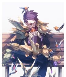  1boy alternate_color beak bird black-framed_eyewear black_jacket black_pants bread collared_shirt commentary_request corbeau_(pokemon) crossed_legs eyewear_strap fletchling food glasses highres holding holding_food jacket long_sleeves male_focus mario_(2669431) necktie on_bench open_clothes open_jacket open_mouth pants parted_hair pidgey pokemon pokemon_(creature) pokemon_legends:_z-a purple_hair purple_shirt round_eyewear shiny_pokemon shirt short_hair short_sideburns sideburns sitting sparkle undercut white_necktie wings yellow_eyes 