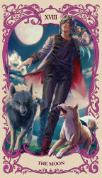  1boy aimono_jyushi animal animal_request ankle_boots backlighting belt black_belt black_hair black_nails black_pants black_shirt blonde_streaks blue_eyes blurry boots border brown_border card_(medium) chain_choker clouds coat collarbone commentary_request contrast_lapels crossed_bangs depth_of_field ear_piercing earrings expressionless fingernails floating_hair from_below fukeda_chiho gold_trim grass grey_coat hair_over_one_eye hand_in_own_hair hand_up highres hypnosis_mic jewelry lace-up_boots lapels leather leather_pants long_hair long_sleeves looking_afar looking_to_the_side male_focus moon mountainous_horizon multicolored_hair multiple_belts multiple_piercings night open_clothes open_coat ornate_border outdoors outside_border pants pants_tucked_in parted_lips piercing purple_border red_boots ring shirt silver_choker silver_ring sleeve_cuffs solo star_(sky) streaked_hair studded_belt tarot tarot_(medium) the_moon_(tarot) twitter_username two-sided_coat two-sided_fabric wolf 