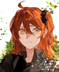  1girl ahoge black_jacket black_scrunchie choroi_amachori closed_mouth collared_jacket commentary_request fate/grand_order fate_(series) fujimaru_ritsuka_(female) fujimaru_ritsuka_(female)_(polar_chaldea_uniform) hair_between_eyes hair_ornament hair_scrunchie highres jacket leaf light_smile looking_at_viewer medium_hair one_side_up orange_hair popped_collar portrait scrunchie solo white_background yellow_eyes 