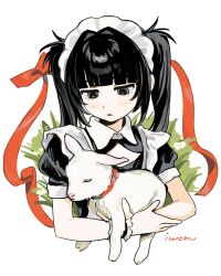  1girl 1other animal apron artist_name baby_animal black_hair blunt_bangs clothing_cutout collar commentary_request cropped_torso dot_nose frilled_apron frills grey_eyes highres holding holding_animal iwonu lamb light_blush long_hair looking_at_animal maid maid_apron maid_headdress open_mouth original puffy_short_sleeves puffy_sleeves red_collar red_ribbon ribbon sheep short_sleeves simple_background twintails white_background white_collar white_trim wing_collar 